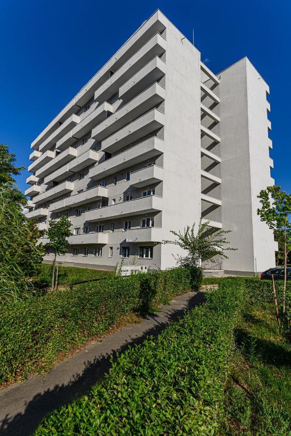 Koa - Pandora Appartement Braşov